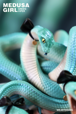 Девушка Медуза Зелёная Гадюка / Medusa Girl Green Viper
