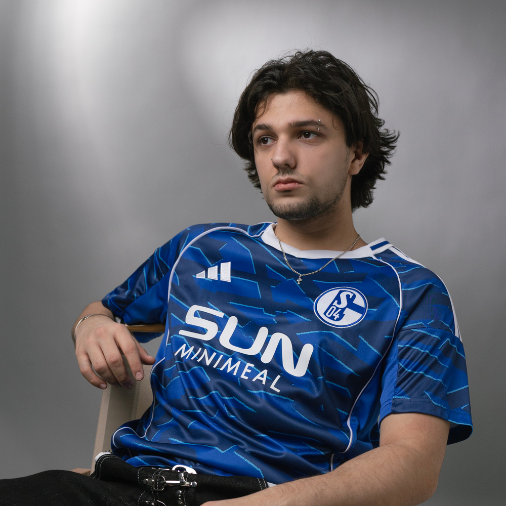 Шальке 04 / Домашняя