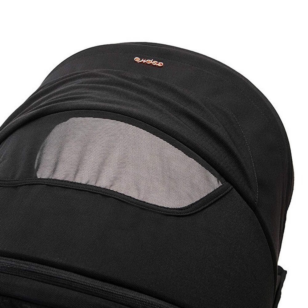 Детская коляска Espiro Only Way 2024 310 stylish black