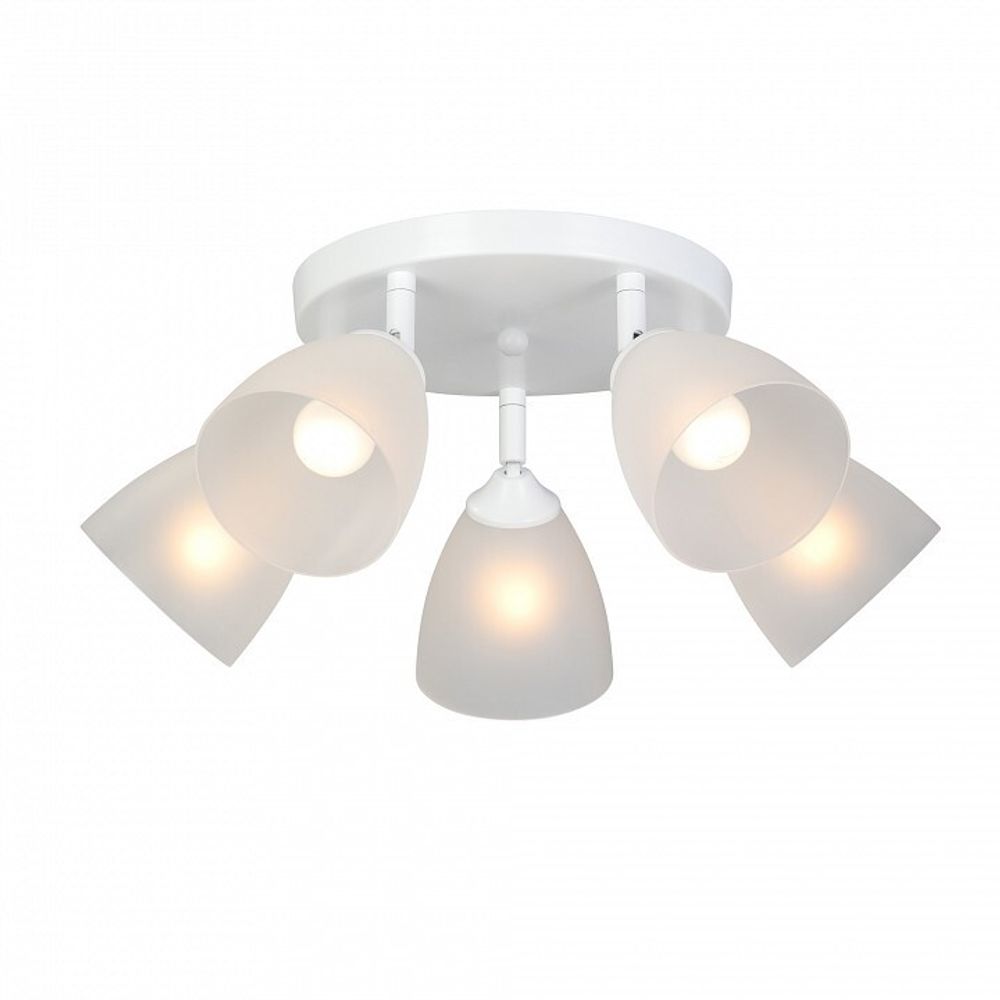 Потолочная люстра Vitaluce V4355 V4355-0/5PL