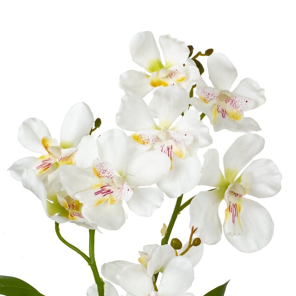 GAEM Цветочная композиция "Орхидея", L25 W23 H41 см