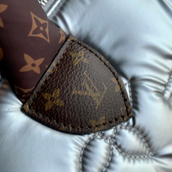 Louis Vuitton Speedy 25
