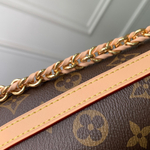 Louis Vuitton Multipass