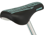 Детский велосипед Schwinn Stardust (2022)