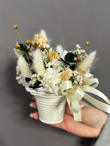 Нежный Ветер