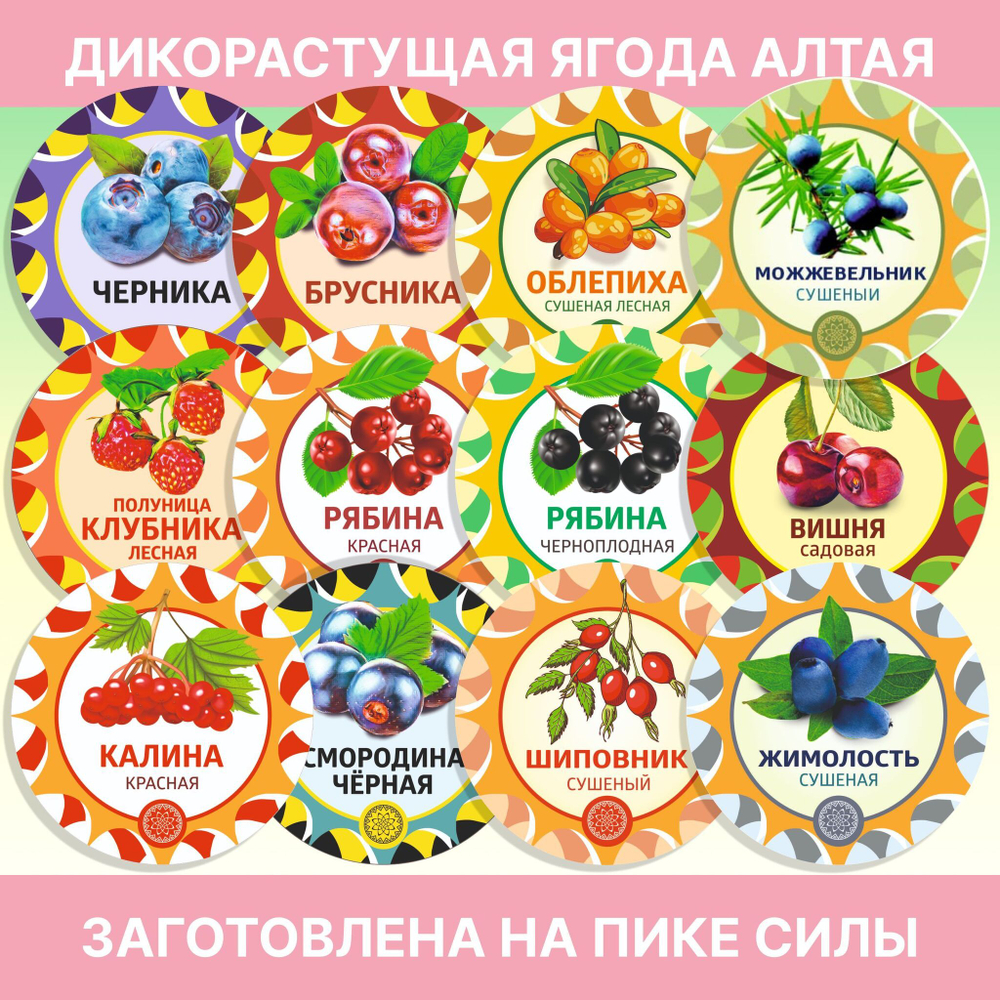 Яблоня цвет / цвет с листом.