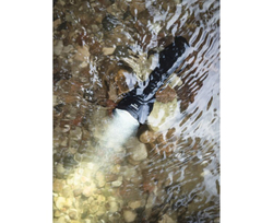 Фонарь Armytek Viking Pro Magnet USB Белый