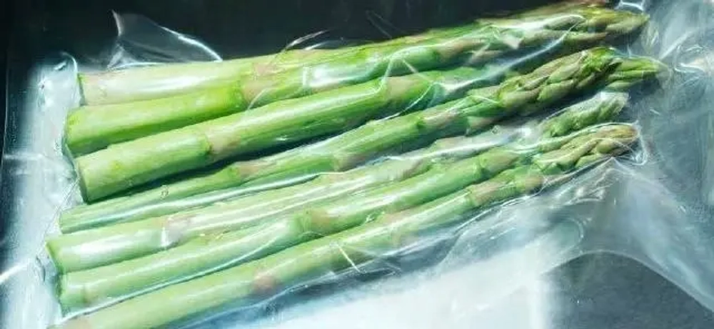 Встраиваемый вакууматор Asko ODV8127S фото 2