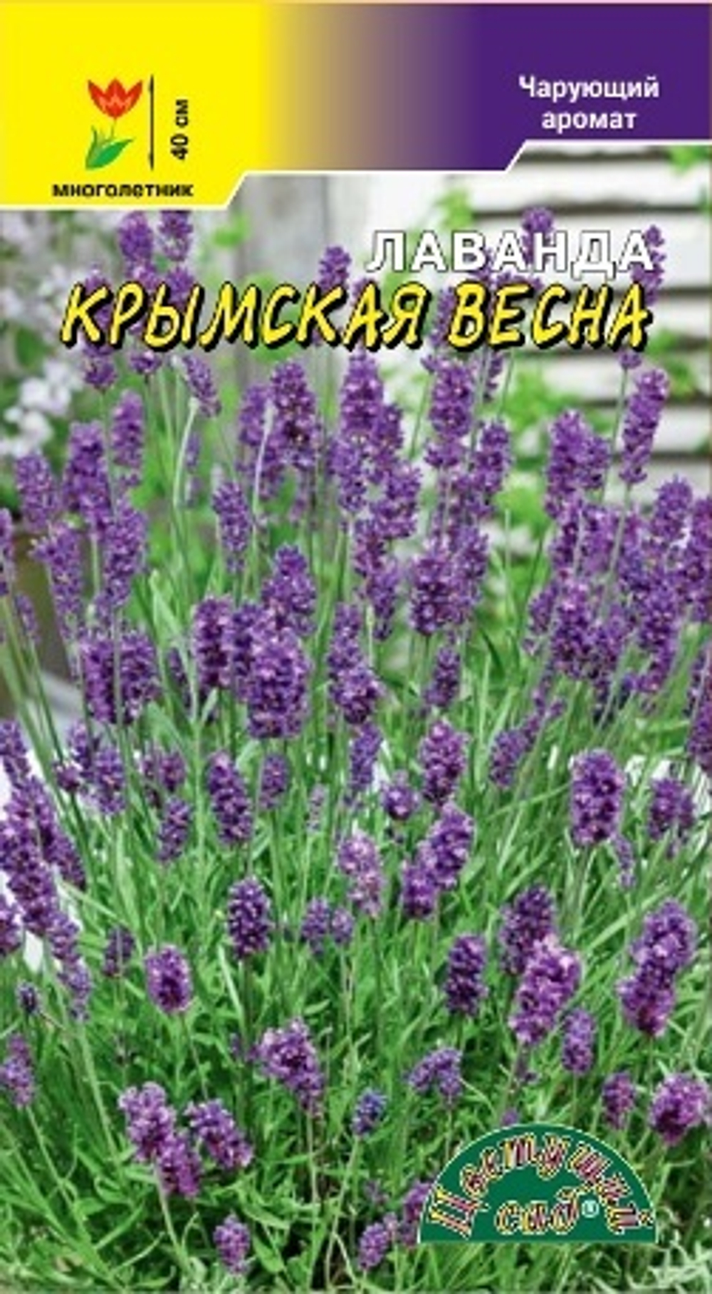 Лаванда Крымская весна 0,1г Ц ЦС