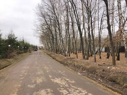 Проведены работы по удалению наклонившихся деревьев