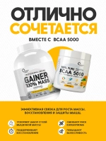 Гейнер Optimum System 100% MASS GAINER 3000 г