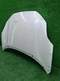 Капот Zeekr 001 (2021-н.в.)