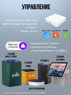 Умный выключатель ZigBee 2 клавиши для Алисы