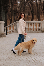 Перестёжка для собак , с ручкой перехват биотан 7 м , 25 мм. Серый и шимер блестящий золотой