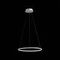 Подвесной светодиодный светильник ST Luce Erto SL904.503.01