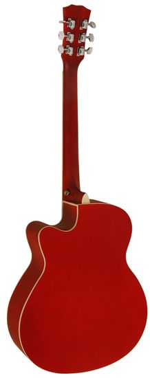 Акустическая гитара Elitaro E4020 RDS