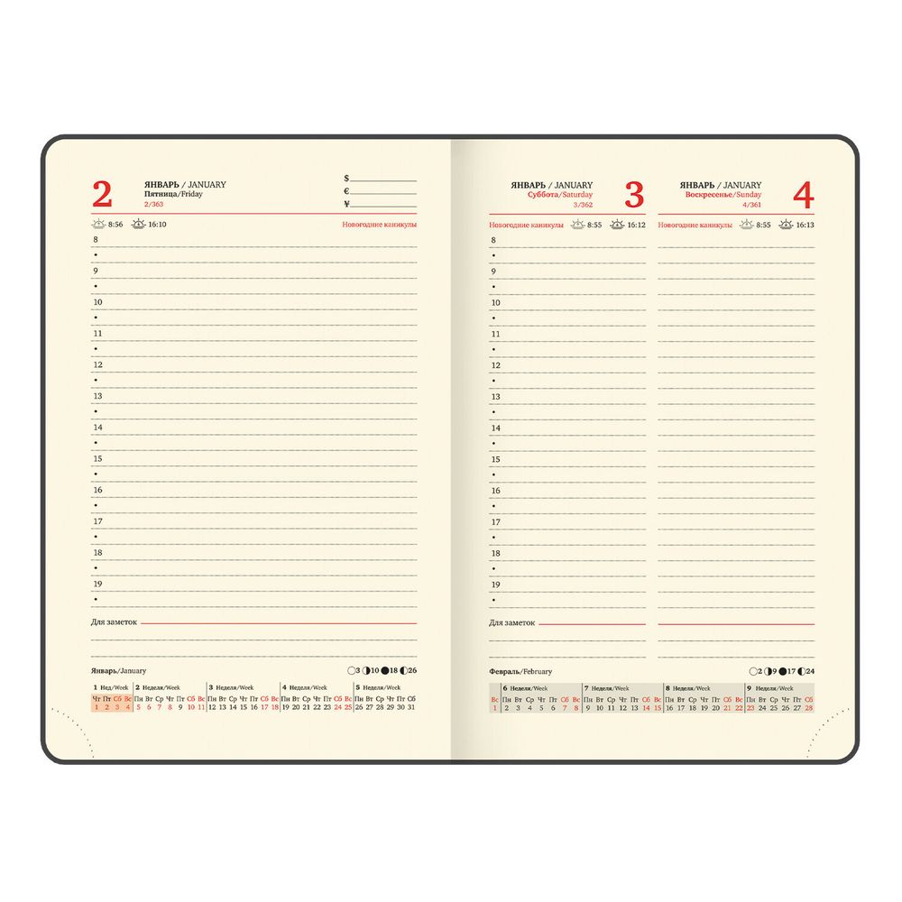 Ежедневник датированный А6 BRAUBERG "Iguana" (117253) 6