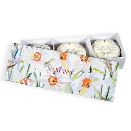 NARCISSE