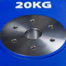 Диск профессиональный обрезиненный (цветной) D51 мм PROFI-FIT 20 кг