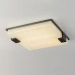 Потолочный светильник 8212C/500 black/white