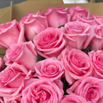 Букет из 21 розовой розы