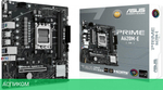 Материнская плата Asus Prime A620M-E-CSM DDR5