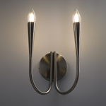 Настенный светильник (бра) Freya FR5253WL-02N