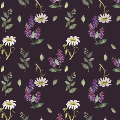 Мышиный горошек и ромашки