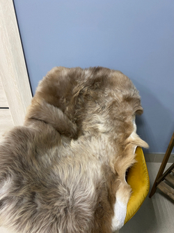 Шкура коврик меховой прикроватный овчина, 120х65 см.