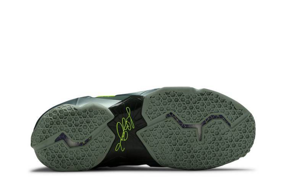 Кроссовки Nike Lebron 11 Dunkman