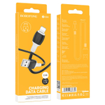 Кабель USB - Lightning BOROFONE BX84 (черный) 1м