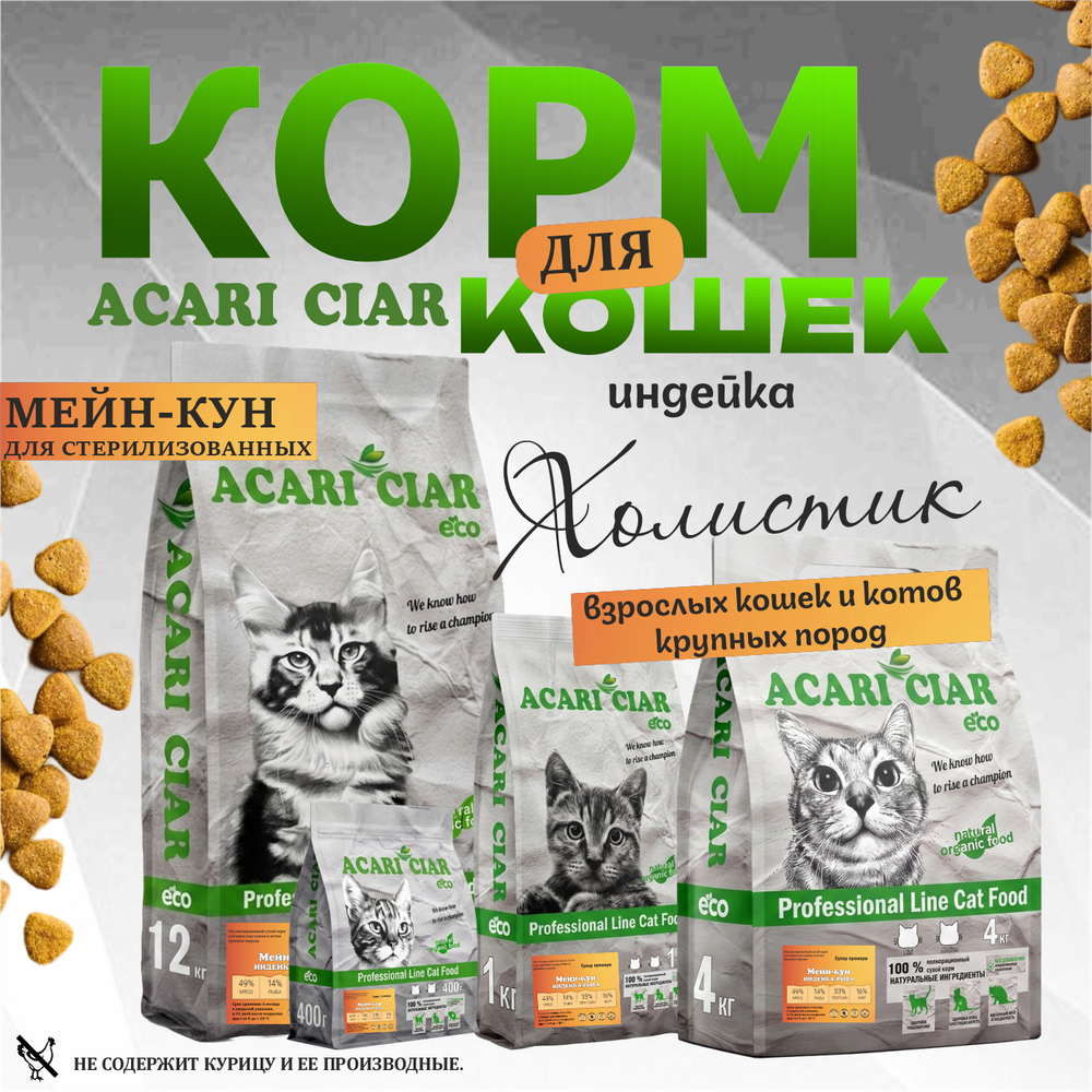 Acari Ciar ВЕТ А КЭТ Мейн-кун Стерилизованный. Индейка