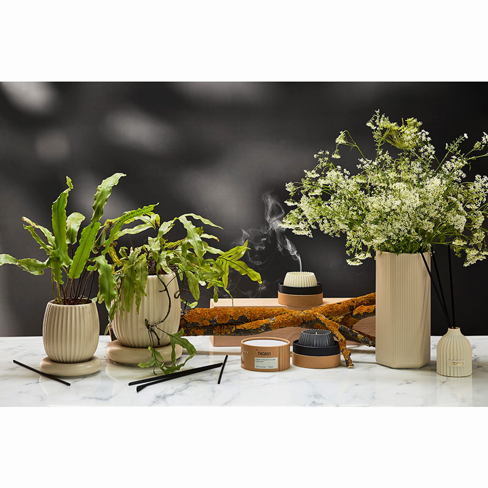 Диффузор ароматический vetiver & black cypress из коллекции edge, 200 мл, бежевый