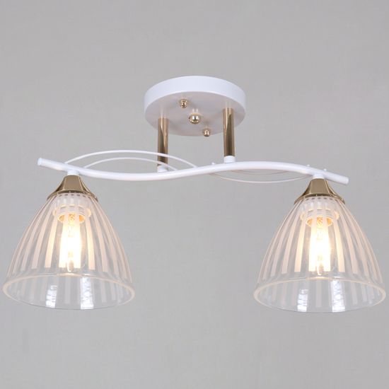 73460-0.3-02 WH+FG светильник потолочный