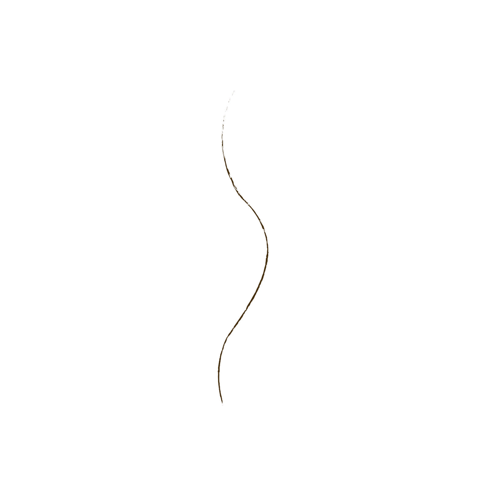 wet n wild, Ultimate Brow, карандаш для бровей, темно-коричневый, 0,06 г (0,002 унции)