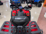 Квадроцикл (комплект для сборки) Explorer 250 4х2 Красный (RR)