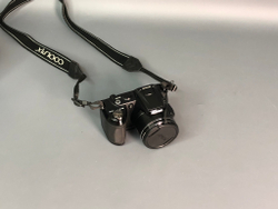 Nikon Coolpix L120