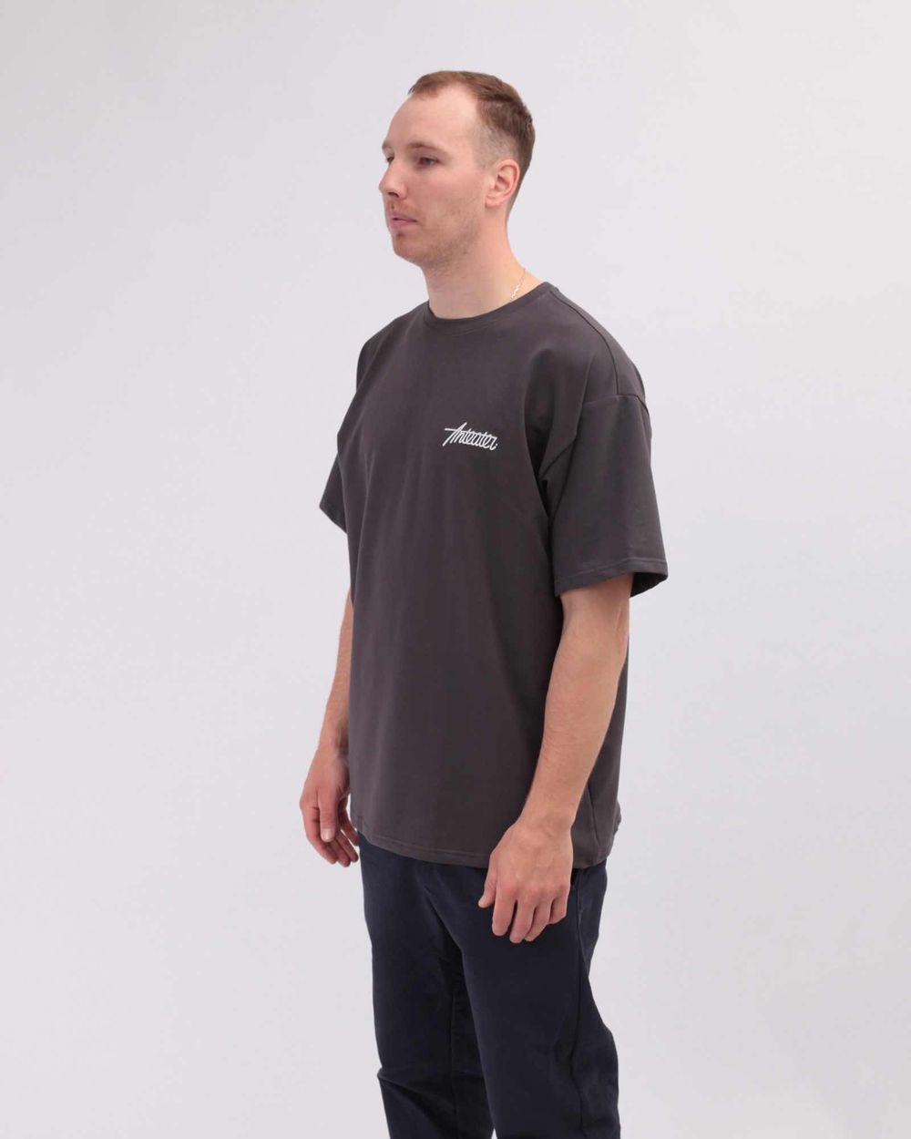 Футболка Anteater Phat 478 темно-Серая
