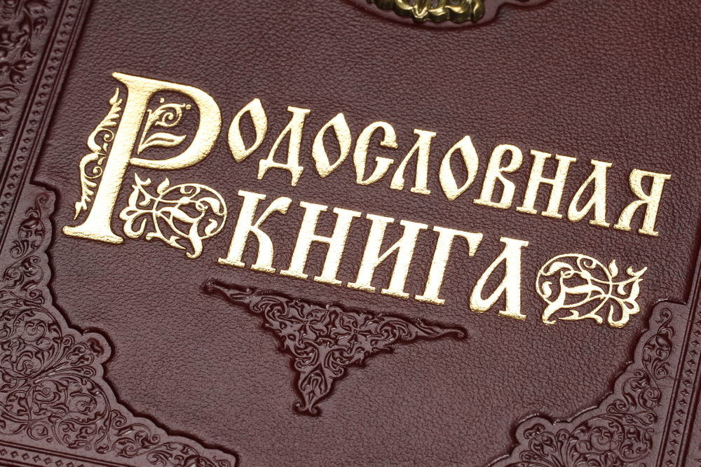 Родословная книга Гербовая (накладка Герб) в картонной коробке