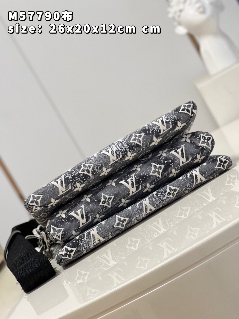 Louis Vuitton Coussin PM
