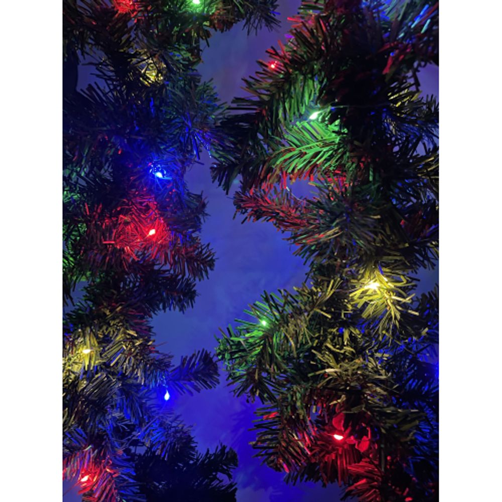 ENIN -10NM ЭРА Гирлянда LED Нить 10 м мультиколор 220V