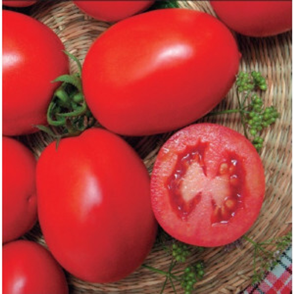 Томат Фрегатта F1 10шт Мировые Семена VITA GREEN