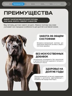 Корм сухой для взрослых собак породы Кане-корсо, премиум полнорационный комплекс, с лососем, 2,5 кг, QUATTRO