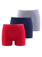 Трусы мужские боксеры Tender Cotton. Набор из 3-х штук