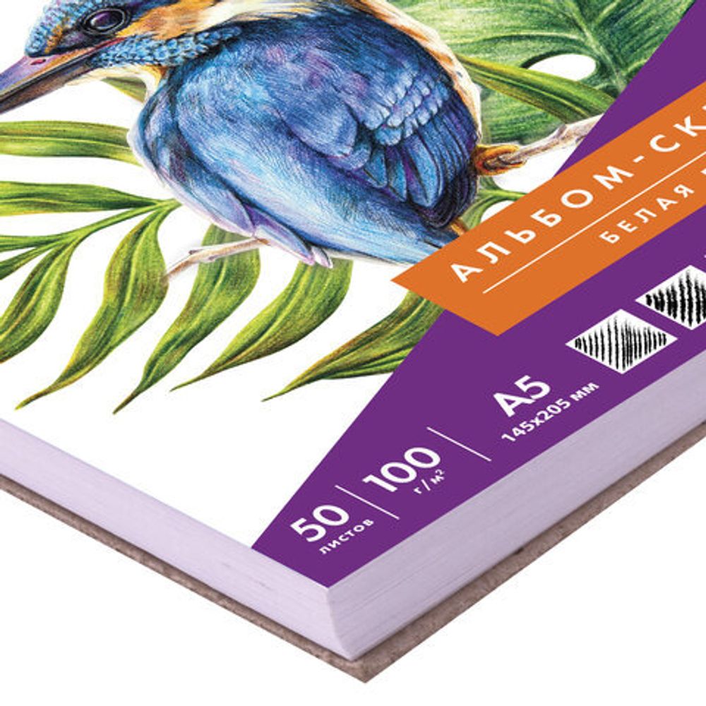 Скетчбук, белая бумага 100г/м2, 145х205мм, 50л, гребень, жёсткая подложка, BRAUBERG ART DEBUT,110987