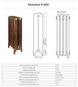 Радиатор чугунный Bohemia R 800/220, c узором, 1 секция, RETROstyle RS-BOH R 800/220