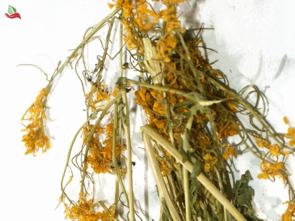 Скрутка из травы Сурепка