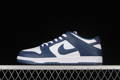 Nike Dunk Low Valerian Blue