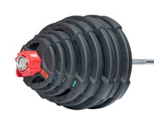 Штанга олимпийская 218 кг (диски с двумя хватами)