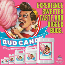 Bud Candy